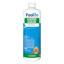 poolife AlgaePhos Algaecide (1 qt) (12)
