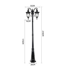 ZQHQYNQDFY Lamp Post Lights Outdoor, Outdoor Waterproof Double-Headed High Pole Lamp for Garden, Villa, Lawn, Street, Courtyard, and Park Lighting