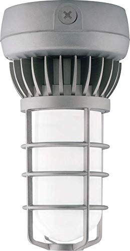Rab Lighting VXLED13NDG VAPORPROOF LED 13W Neutral GL Frosted Globe DIECAST GD CEIL