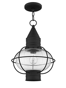 Livex Lighting 26905-04 Lanterm from Newburyport 1-Light Fixture, Black