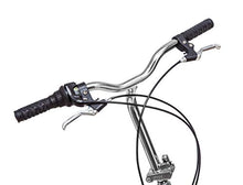 Schwinn Loop Adult Folding Bike 20-inch 7-Speed Drivetrain Titanium