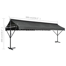 vidaXL Free Standing Awning 236.2"x118.1" Anthracite