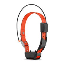 Garmin Alpha 300i Handheld Dog Tracking & Training System Bundle with 2X TT25 Collars Black