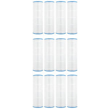 Doheny's Pool Spa Replacement Filters for Pentair Clean & Clear 150 - 12-Pack
