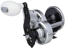 SHIMANO Trinidad Conventional Reels TN30A Fishing Silver