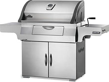 Napoleon PRO605CSS Professional Charcoal Grill Stainless Steel