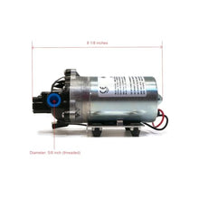 Shurflo 12v Electric Water Transfer Pumps, 3-Pack