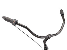 Schwinn Huron Adult Beach Cruiser Bike 26-Inch Black