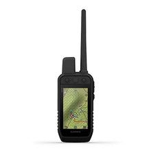 Garmin Alpha 300/TT™ 25 Bundle Advanced Tracking and Training System
