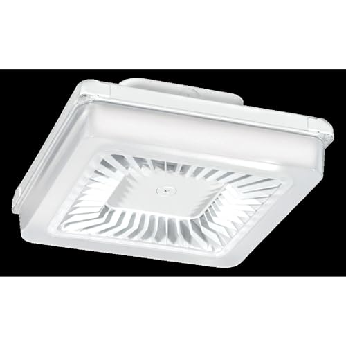 RAB Lighting PRT55W Outdoor, Image
