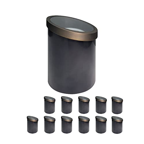 COLOER In-Ground Well Lights LED Outdoor Low Voltage Landscape Lighting 12-Pack 301B