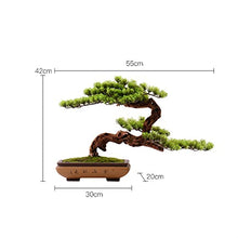 CLoxks Artificial Bonsai Artificial Plants Bonsai Tree Indoor Wood Welcoming Pine Bonsai Zen Decorative Bonsai with Ceramic Pots Living Room Corridor Decor for Home Office