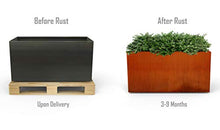 PLANTERCRAFT Large Rectangular Planters for Outdoor Plants – 48x18x18 Corten Steel Planter Box for Patios & Borders | Heavy Duty, Extra Large Outdoor Planters | Fully Assembled Metal Planter Rectangle