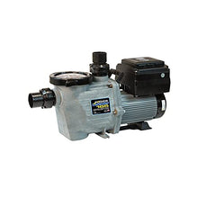 Waterway Power Defender 165 Variable Speed Pool Pump 1.65 HP, 115/230V