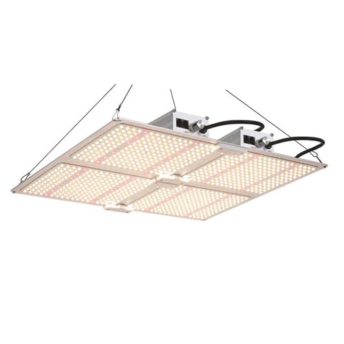 WJSKYDM 100/200/400W LED Grow Light, Full Spectrum Plant Light, Smart Dimmable & High PPFD for Indoor Plants Seedling Vegetables Bloom, Fits 2×4/3×3 Grow Tents,400W