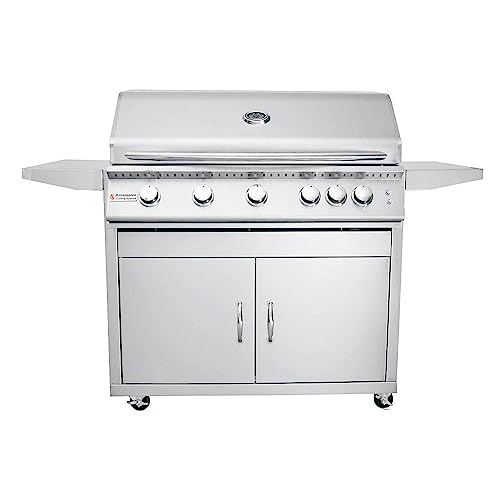 RCS Premier Series 40-Inch 5-Burner Propane Gas Grill With Rear Infrared Burner & Grill Lights - RJC40ALLPCK