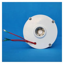 VBSNKLOI Wind Turbine Generator, S Type 100W 12V/24V Permanent Magnet AC Generator Rare Earth Wind Water Power Alternator for DIY Off-Grid System