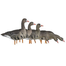 Avian-X AXP Specklebelly Decoy Fusion Pack 18 Pack