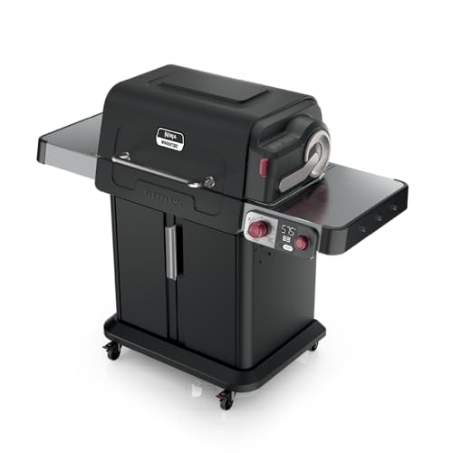 Ninja FlexFlame Grill & Smoker, Electric & Propane, 5-in-1, Black,PG301BK