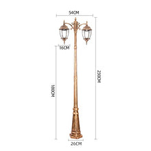 ZQHQYNQDFY Lamp Post Lights Outdoor, Double Head Outdoor E27 Lamp, Waterproof High Pole Street Light for Courtyard, Garden, Villa Community Landscape Lighting
