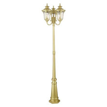 Livex Lighting 7866-33 Oxford Light Fixture, Soft Gold