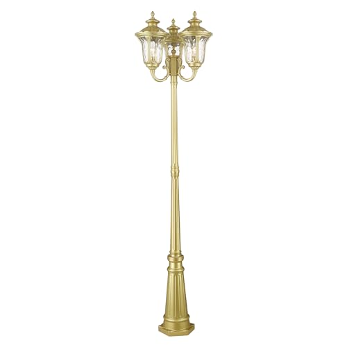 Livex Lighting 7866-33 Oxford Light Fixture, Soft Gold