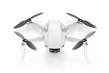 DJI Mavic Mini Drone FlyCam Quadcopter UAV 2.7K Camera Gray (Renewed)