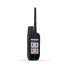 Wearable4U Garmin Alpha 300 Handheld Dog Tracking and Training with Alpha TT 25 Collar +E-bank