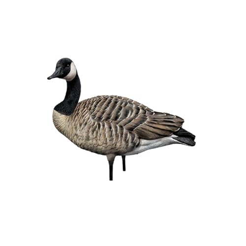 Avian-X AXP Honkers Fusion Pack Full Body Canada Goose Decoys Silver