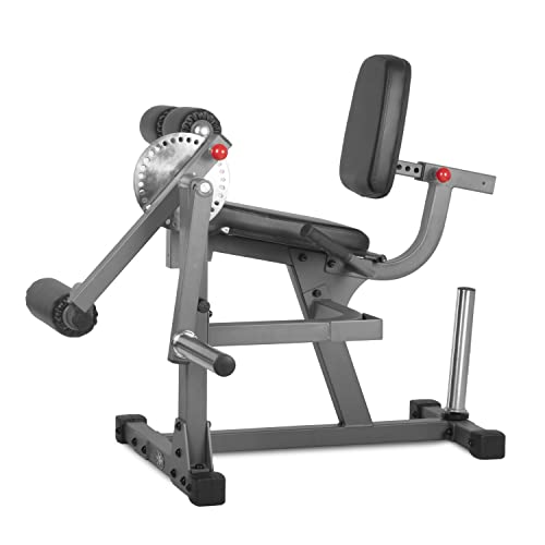 XMark Leg Exercise Machine with Rotary Leg Extension and Leg Curl Gray
