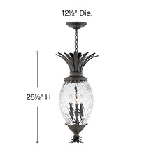 Bailey Street Home 4 Light Outdoor Hanging Lantern Bronze