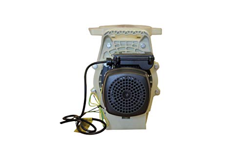 FibroPool 3 HP Swimming Pool Pump Beige