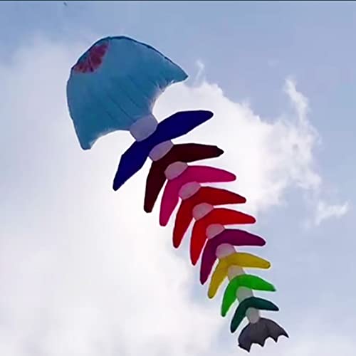 TiffyDance 10m 3D Soft Inflatable Fish Bone Kite Windsock