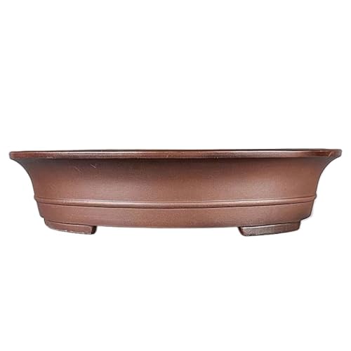 thalo Planter Pots Plant Pots Purple Clay Flower Pot Bonsai Planter 25in Handmade Oval Pine and Cypress Bonsai Large Pot Plant Container Accessories