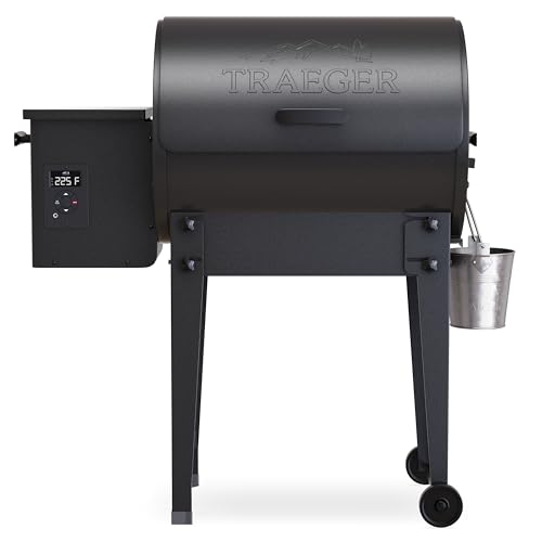 Traeger Tailgater Portable Wood Pellet Grill & Smoker, 300 Sq In