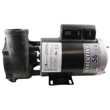 Waterway Executive 56 Spa Pump 3HP 2-Speed 230V 60HZ ME-30226-20