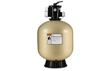Pentair EC-145241 Tagelus Top Mount Sand Pool Filter TA60D