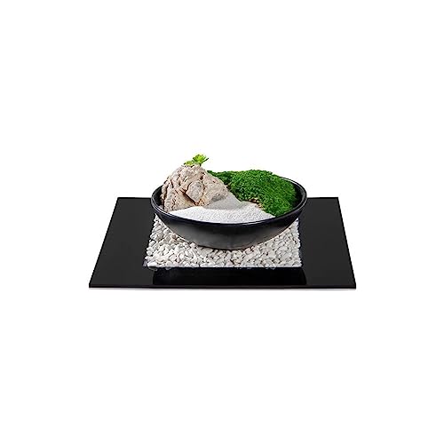 MACIUM Simulation Potted Plants Bonsai Tree Simulated Moss Green Plant Bonsai Chinese Tea Table Bogu Shelf Tea Room Desktop Landscaping Decoration Ornaments Fake Plant Greenery Decor for Desk