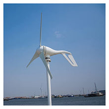J3DFGFLR Wind Turbine Power Generator 800w 6 Blades 12V/24V Optional Used for Land Marine Outdoor Power Tools (Color : Hybrid Controller Specification : 6 Blades 800W)