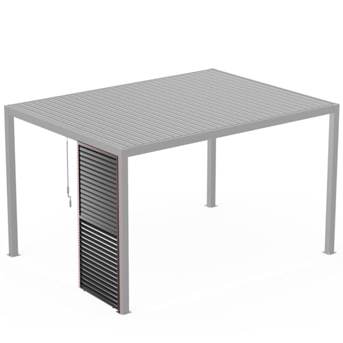Adjustable Louvered Pergola with Crank-Controlled Roof & Integrated Drainage for Garden Patio, Heavy-Duty Patio Cover with Galvanized Steel Louvers for Backyard Party (1/3 10FT Side)
