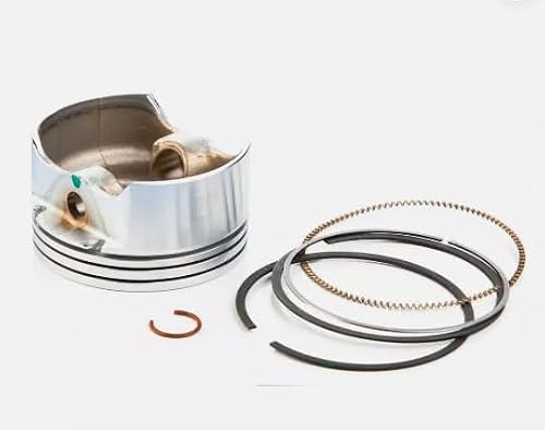 Piston Assembly 793318 Replacement for Briggs OEM