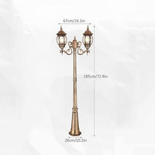 iumLeap Led Outdoor Post Light with Two-Head, Ip56 Waterproof Aluminum Path Pillar Lamp Fence Exterior Pillar Post Light,E27 Base 60W Max,Outdoor Garden Lighting(One Color-Height 185cm)