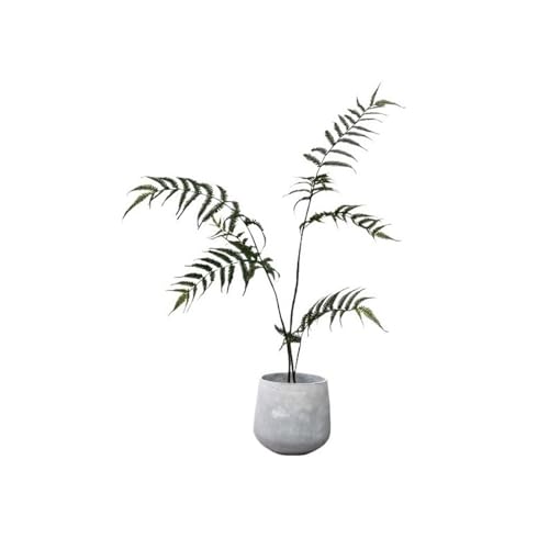 Plants Artificial Fern Bonsai Simulation Greenery Indoor Decoration Ornaments Potted Plants with Pots Outdoors