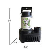Big Frog EcoDrive 4200 GPH Asynchronous Pond Pump 30 ft Cord
