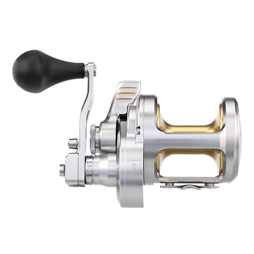 SHIMANO TALICA A Conventional Reel TAC16IIA Silver/Gold