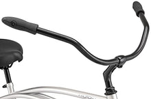 Schwinn Huron Adult Beach Cruiser Bike 26-Inch Silver
