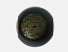 KFJZGZZ Ceramic Temperature Control Bean Sprout Machine, Household Full-Automatic Purple Sand Large-Capacity Germination Kit Grain Seed Germination and Cultivation Device
