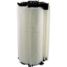 Pentair FNS Plus 60 Sq Ft Filter Grid Assembly Replacement 59023300