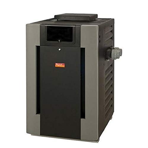 Raypak Digital Cast Iron ASME Natural Gas 399,000 BTU Pool Heater 017374