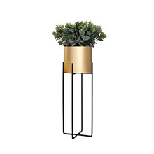 KAJIAO Indoor Plant Stand|Living Room Metal Display Shelf| Iron Art Garden Herb Bonsai Shelves|Outdoor Balcony Decoration Flower Rack - Set of 3